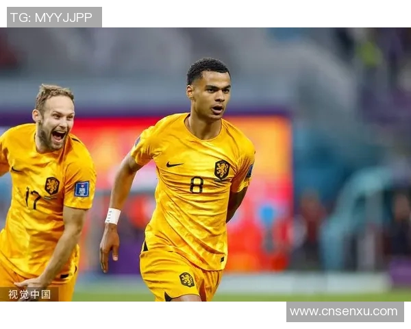 加克波的崛起之路：从青涩小将到足球明星的华丽转身