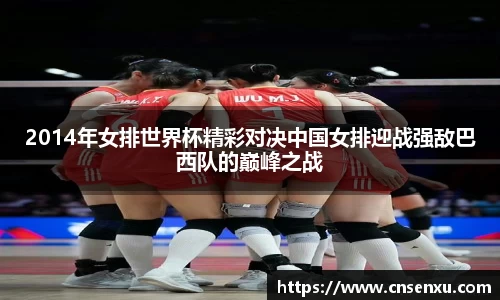 2014年女排世界杯精彩对决中国女排迎战强敌巴西队的巅峰之战
